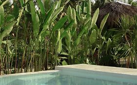 Single Fin Siargao